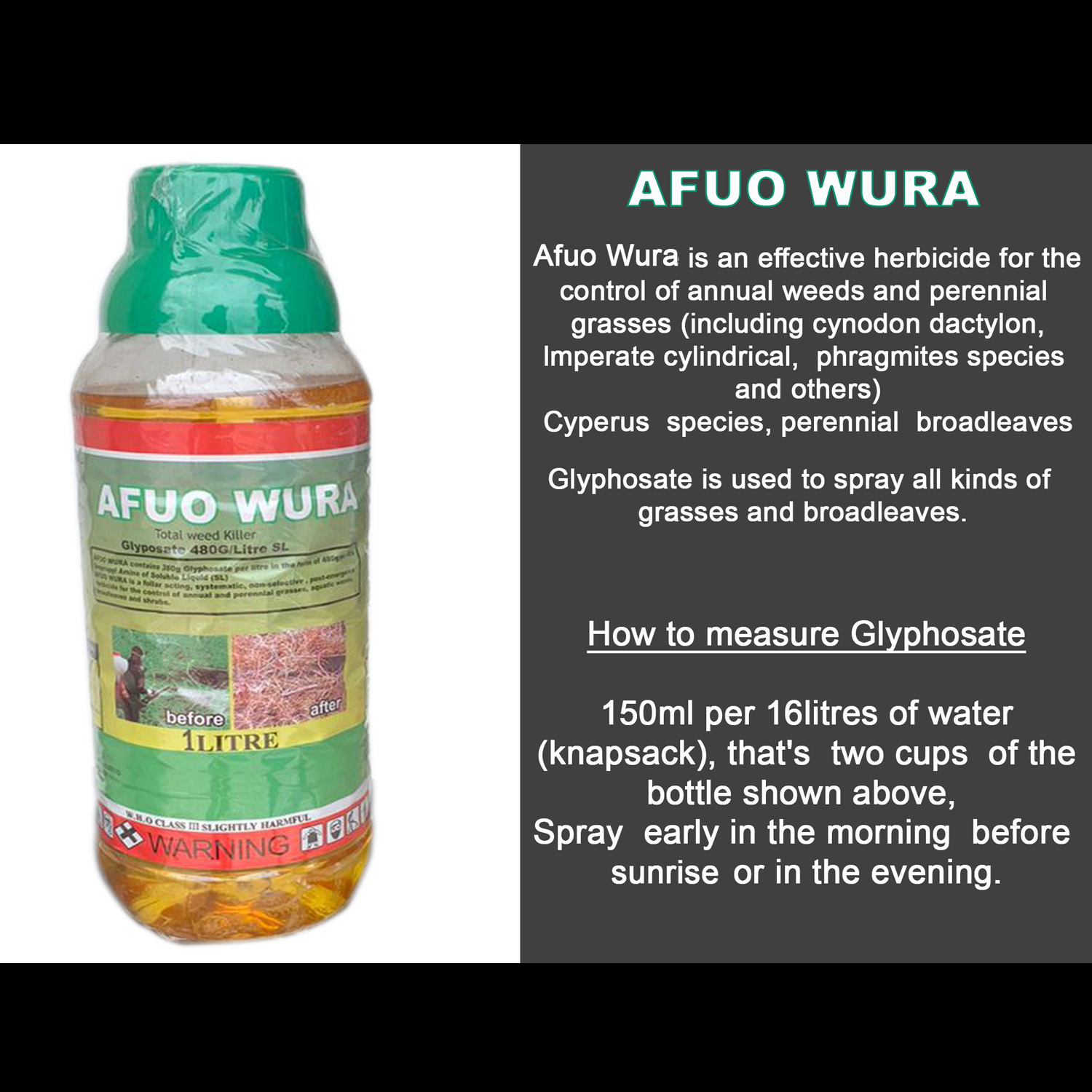 Afuo Wura Green Afuo Wura Green
