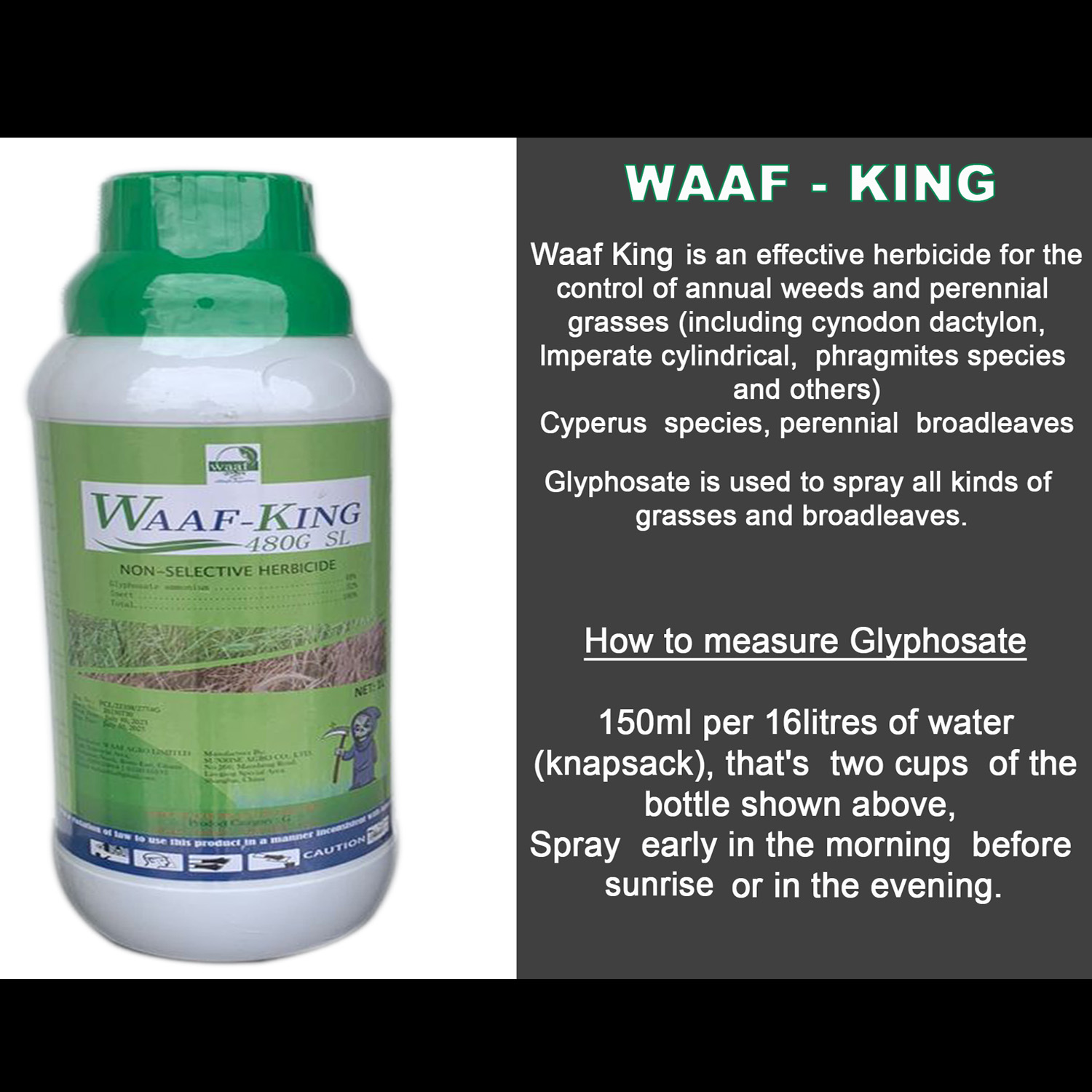 Waaf King lt Waaf King lt