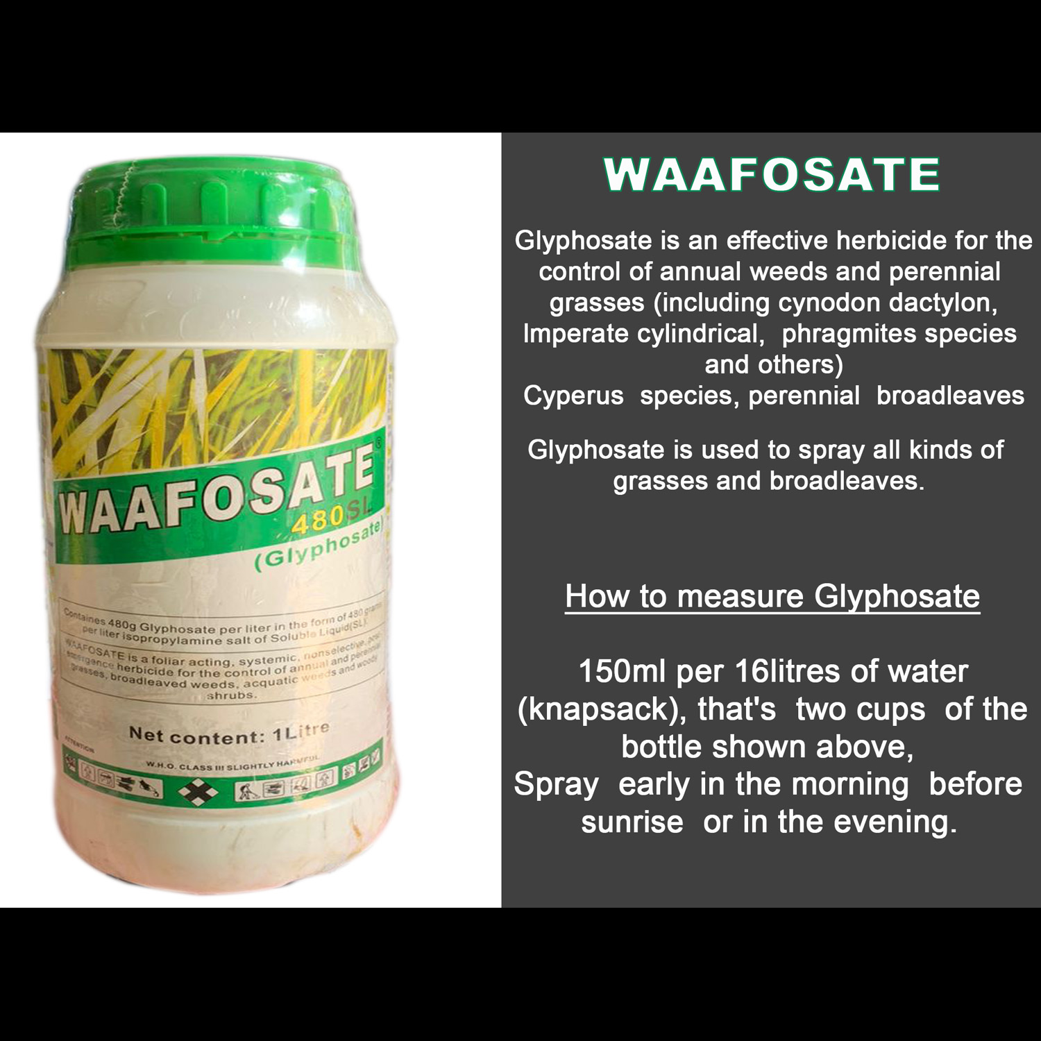 Waafosate Waafosate